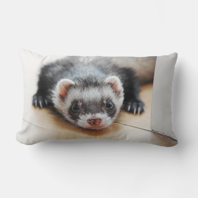 Sable Ferret Lumbar Pillow (Front)
