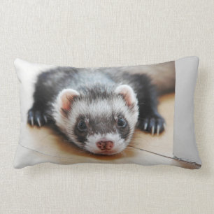 Sable Ferret Lumbar Pillow