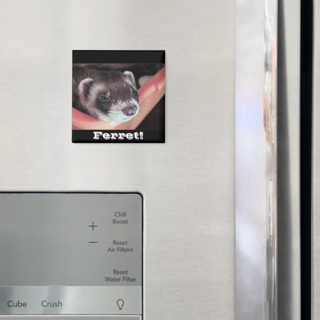 Sable Ferret Magnet (In Situ (Fridge))