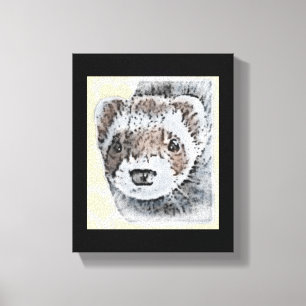 Sable Ferret Picture Canvas Print