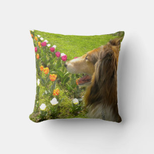 Sable Rough Collie and Tulips Throw Pillow