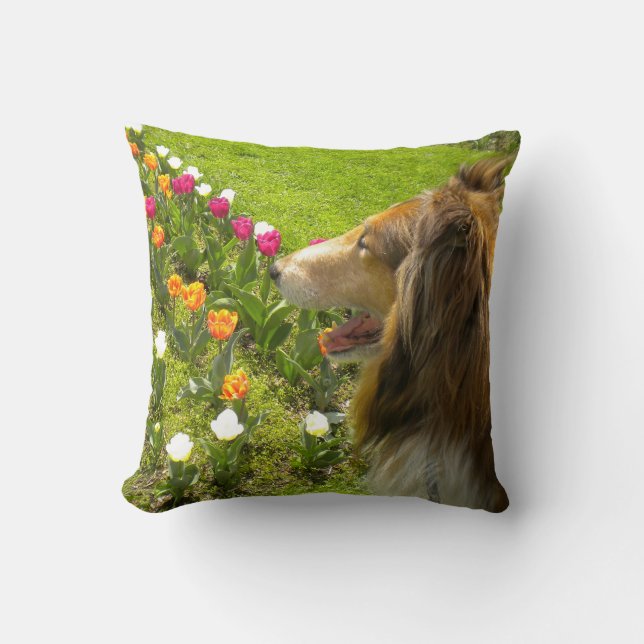 Sable Rough Collie and Tulips Throw Pillow (Front)