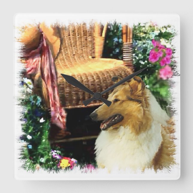 Sable Rough Collie Art Square Wall Clock (Front)