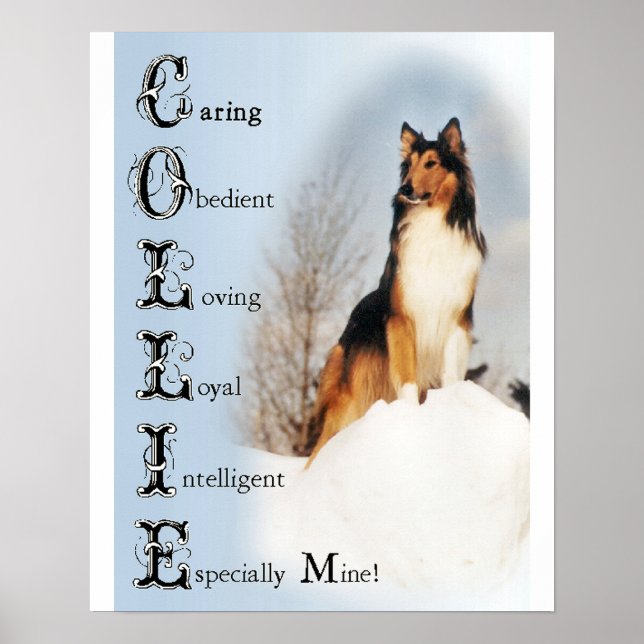 Sable Rough Collie Gifts Poster (Front)