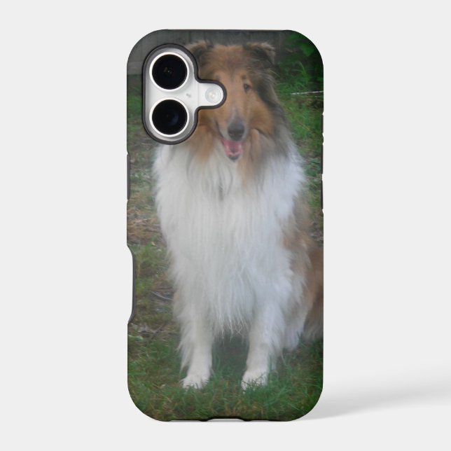 Sable Rough Collie iPhone 5 Case (Back)
