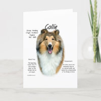Sable Rough Collie Meet the Breed