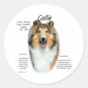 Sable Rough Collie Meet the Breed - Sticker