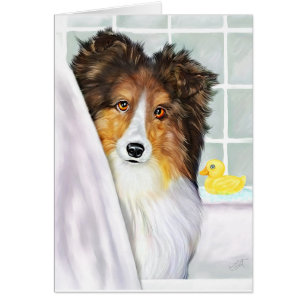 Sable Sheltie Bath
