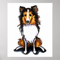 Sable Sheltie Shetland Sheepdog Sit Pretty