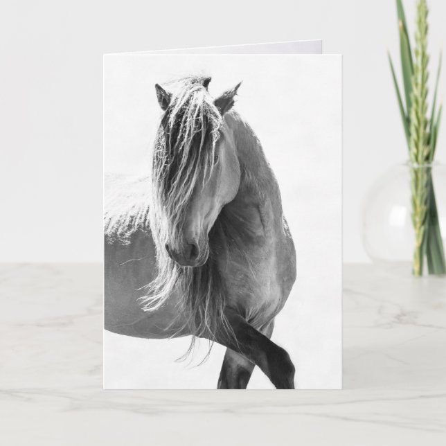 Sable Stallion's Pride - Wild Horse Greeting Cards (Front)