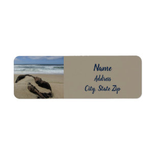 Sables et Driftwood West Coast Landscape Beach