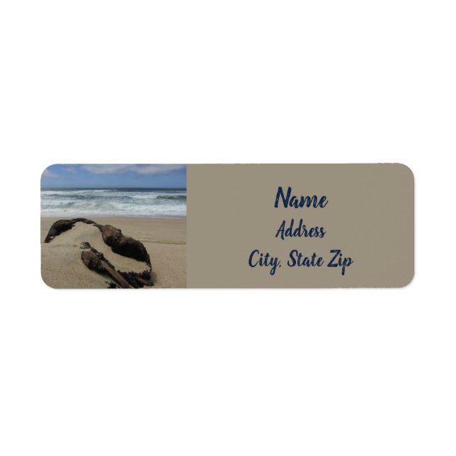 Sables et Driftwood West Coast Landscape Beach (Devant)