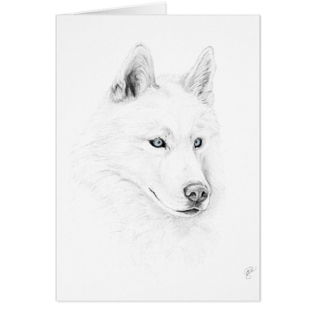 Sabre yeux bleus d'un art de dessin de chien de (Devant)