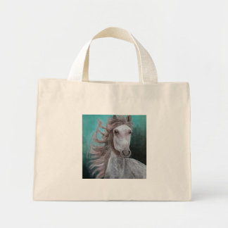 Sac