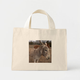 Sac à âne