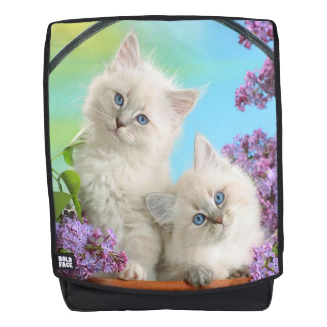 Sac À Dos Chatons (Devant)