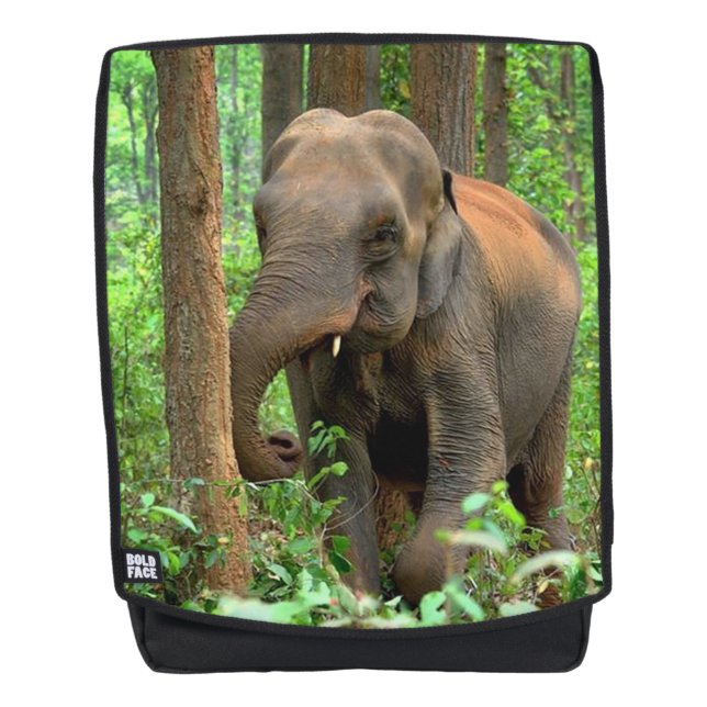Sac À Dos Éléphant Bébé (Devant)