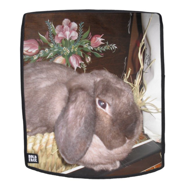 Sac À Dos Lapin de Pâques dans un panier (Devant amovible)