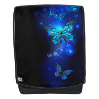 Morpho Butterfly in the Dark Background