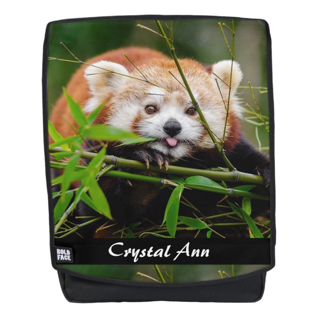 Sac À Dos Panda roux (Devant)
