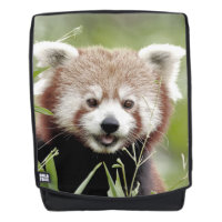 Sac à dos. Photo panda rouge. Sac à dos