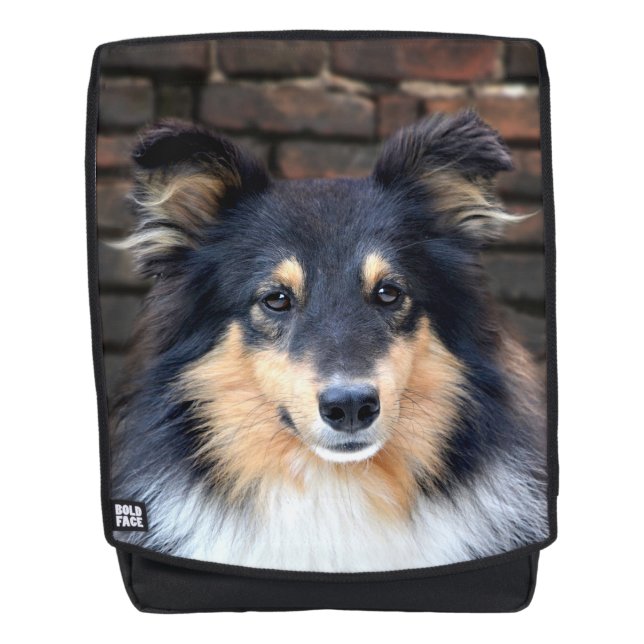 Sac À Dos Sheltie tricolore font face (Devant)
