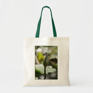 Sac à dragonette