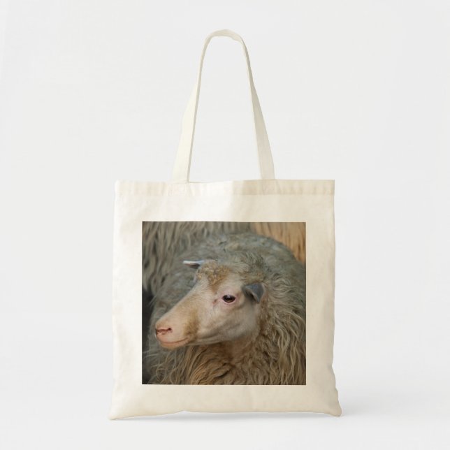Sac à mouton (Devant)