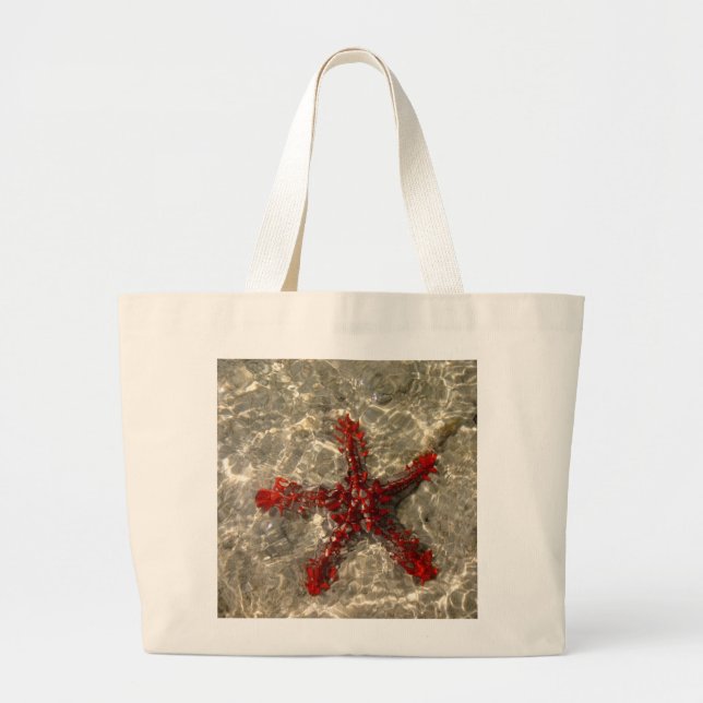 Sac à poisson étoile (Devant)