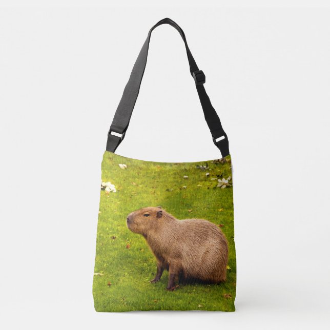 Sac Ajustable Capybara (Devant)