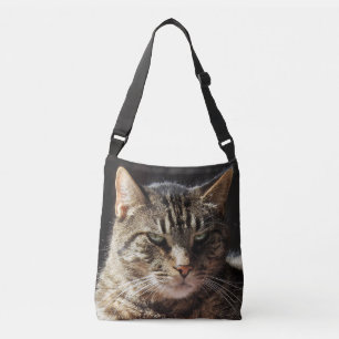 Sac Ajustable Chat tigré grognon