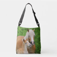 Haflinger Horses Joli Fosse Embrasse maman Photo —