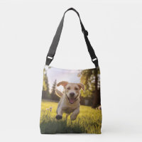 Joyeux Labrador Puppy Running