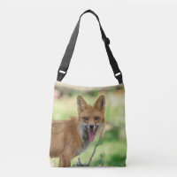 Mama Fox dans la vallée de l'Hudson
