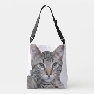 Sac Ajustable Tabby Kitten