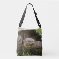Tortue géante