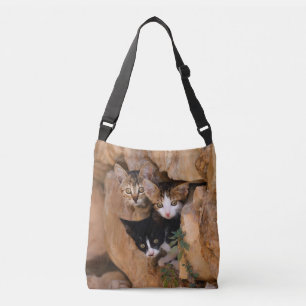 Sac Ajustable Trois Cute Curious Chat Kittens Funny Photo