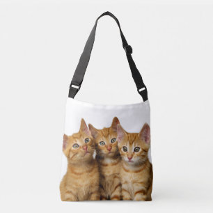 Sac Ajustable Trois mignons Ginger Chat Kittens amis Photo de la