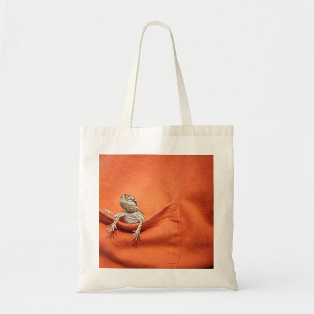 sac barbu de dragon (Devant)