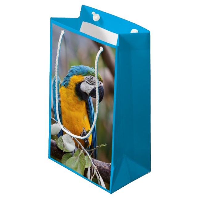 Sac bleu et jaune de cadeau d'ara (Devant Angle)