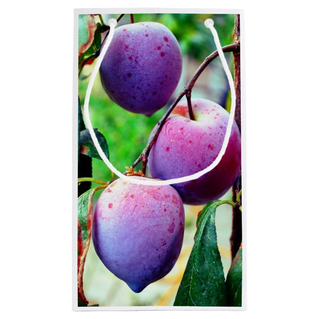 Sac cadeau aux fruits de prune (Dos)