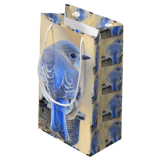 Sac cadeau Bluebird (Dos Angle)