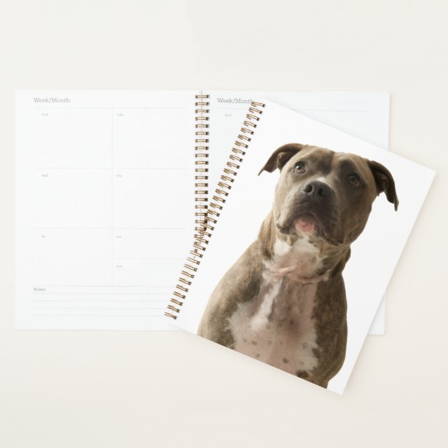 Sac cadeau Chien Taureau Pit (Devant avec enveloppe)