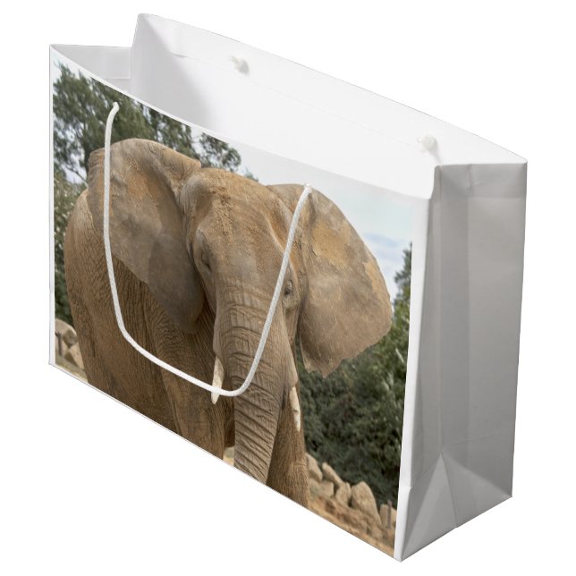 Sac cadeau Dumbo (Devant Angle)