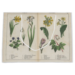 Sac cadeau Fleur sauvage antique rose et vert