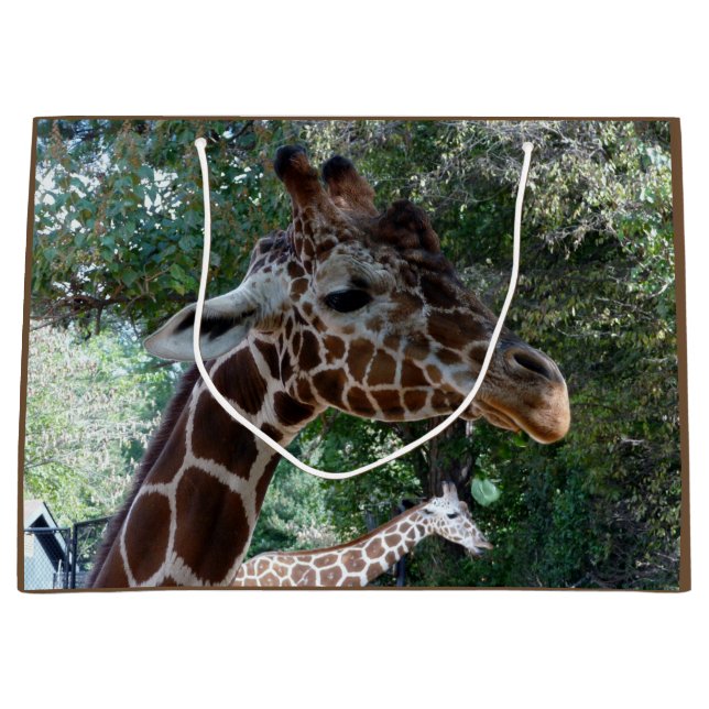 Sac cadeau Giraffe (Devant)
