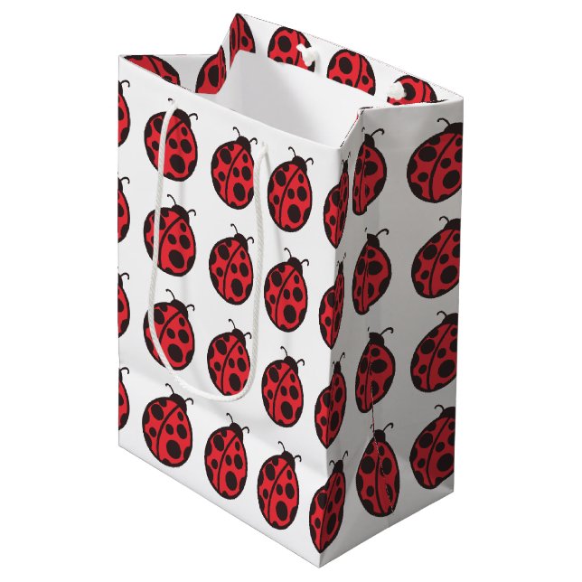 Sac cadeau Ladybug (Devant Angle)