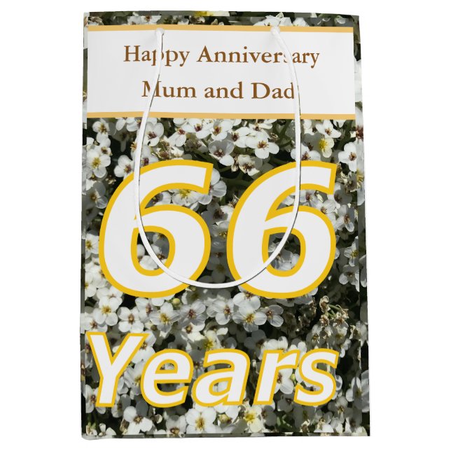 Sac Cadeau Moyen 66e anniversaire modifiable (Devant)