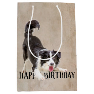 Sac Cadeau Moyen Anniversaire Frontière Collie