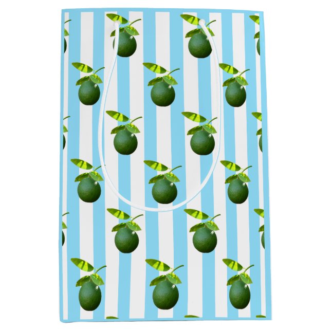 Sac Cadeau Moyen Beaucoup de chaux (Devant)